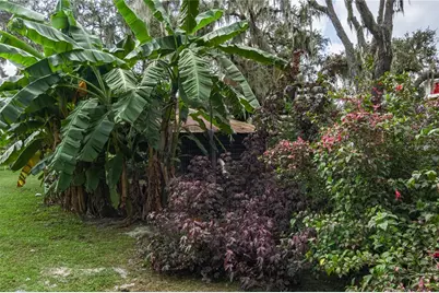 1126 County Road 665, Ona, FL 33865 - Photo 81