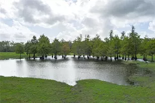 1126 Co Rd 665, Ona, FL 33865 - Photo 3
