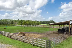 1126 Co Rd 665, Ona, FL 33865 - Photo 53