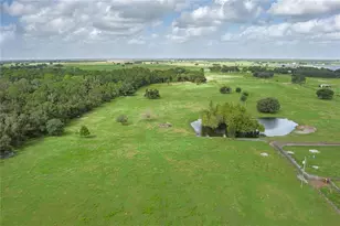 1126 Co Rd 665, Ona, FL 33865 - Photo 63