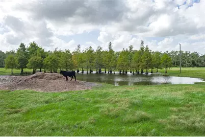 1126 County Road 665, Ona, FL 33865 - Photo 63