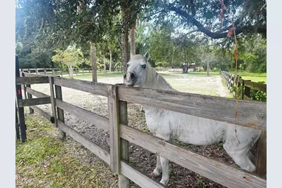 22906 73rd Avenue E, Bradenton, FL 34211 - Photo 73