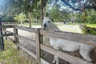 22906 73rd Ave E, Bradenton, FL 34211 - Photo 73