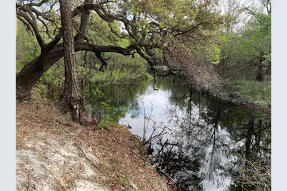 33074 Ranch Road, Dade City, FL 33523 - Photo 5