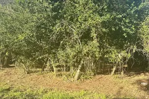 13 Sunflower St, Punta Gorda, FL 33982 - Photo 1