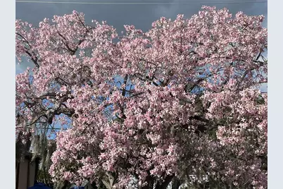 6101 34th Street W #25E, Bradenton, FL 34210 - Photo 45