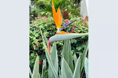 6101 34th Street W #25E, Bradenton, FL 34210 - Photo 59