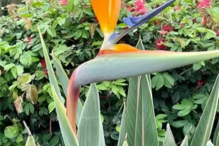 6101 34th Street W, Bradenton, FL 34210 - Photo 59