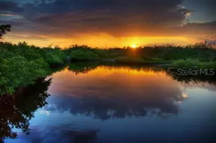 4412 Dolphin Ln, Palmetto, FL 34221 - Photo 51