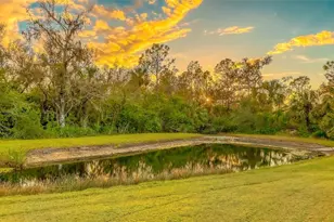 16307 29th Ct E, Parrish, FL 34219 - Photo 59