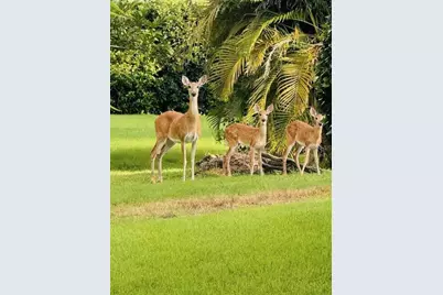 16307 29th Court E, Parrish, FL 34219 - Photo 61