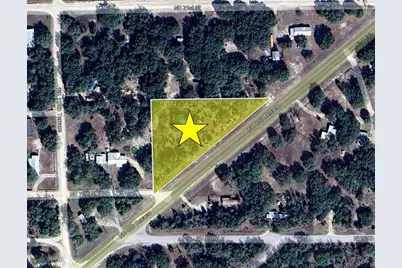 Tbd NE 106th Terrace, Bronson, FL 32621 - Photo 9