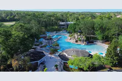 4922 Treeline Drive, Palm Harbor, FL 34683 - Photo 21