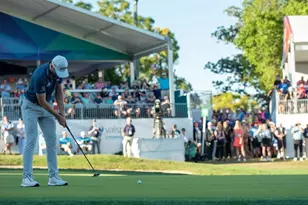 4922 Tree Line Dr, Palm Harbor, FL 34683 - Photo 17