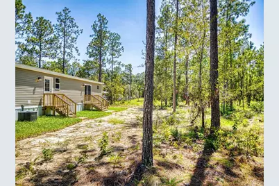 660 NE 131 Avenue, Williston, FL 32696 - Photo 49