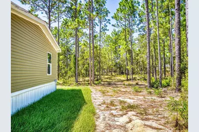 660 NE 131 Avenue, Williston, FL 32696 - Photo 47