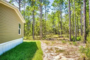 660 NE 131 Ave, Williston, FL 32696 - Photo 47