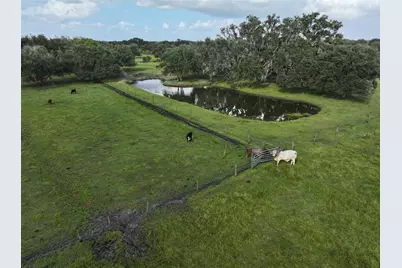 14935 Coker Gully Road, Myakka City, FL 34251 - Photo 11