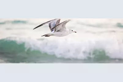 5246 Avenida Del Mare, Sarasota, FL 34242 - Photo 75