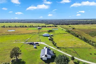 10807 NW Lily County Line Rd, Ona, FL 33865 - Photo 9