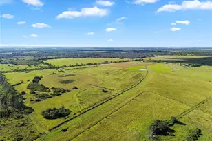 10807 NW Lily County Line Rd, Ona, FL 33865 - Photo 7