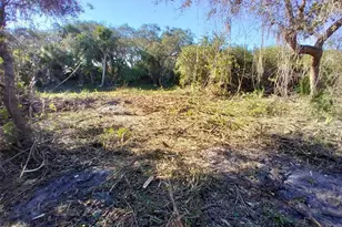 4193 Chippewa St, Port Charlotte, FL 33981 - Photo 1