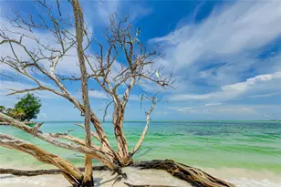 11 Sandy Cove Rd, Sarasota, FL 34242 - Photo 45