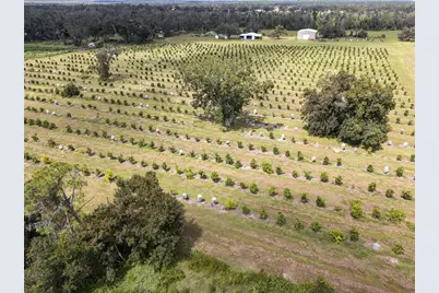 32715 Singletary Road, Myakka City, FL 34251 - Photo 3