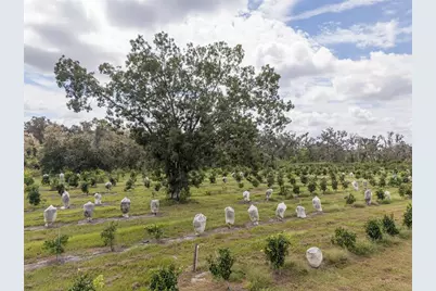 32715 Singletary Road, Myakka City, FL 34251 - Photo 49