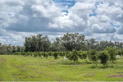 32715 Singletary Road, Myakka City, FL 34251 - Photo 11