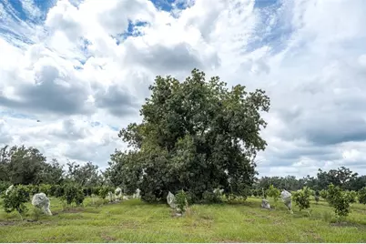 32715 Singletary Road, Myakka City, FL 34251 - Photo 9