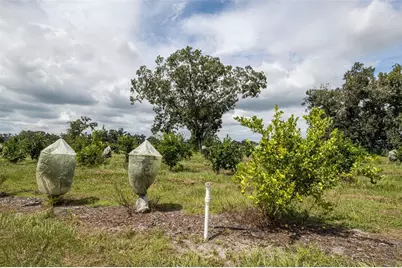 32715 Singletary Road, Myakka City, FL 34251 - Photo 17