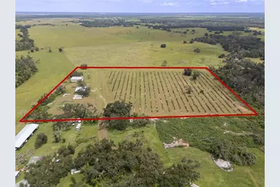 32715 Singletary Road, Myakka City, FL 34251 - Photo 1