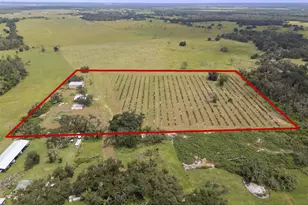 32715 Singletary Rd, Myakka City, FL 34251 - Photo 1