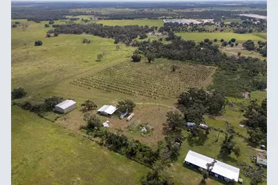 32715 Singletary Road, Myakka City, FL 34251 - Photo 13