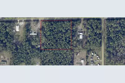 4225 Melanie Street, Hastings, FL 32145 - Photo 3