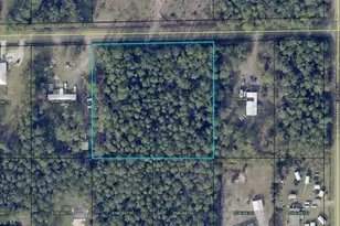 4225 Melanie St, Hastings, FL 32145 - Photo 1