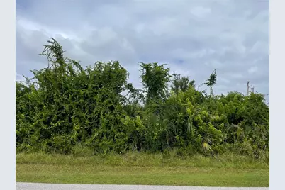 11216 Carnegie Avenue, Englewood, FL 34224 - Photo 1