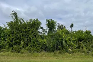 11216 Carnegie Ave, Englewood, FL 34224 - Photo 1