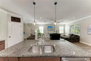 8523 Rain Lily Crossing, Parrish, FL 34219 - Photo 11