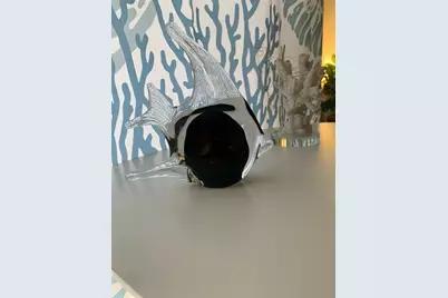 10004 Cortez Road W #102, Bradenton, FL 34210 - Photo 13