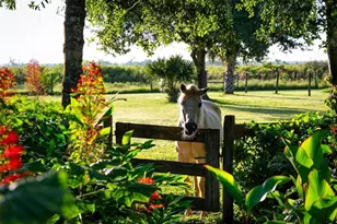 4939 Myakka Valley Trail, Sarasota, FL 34241 - Photo 87