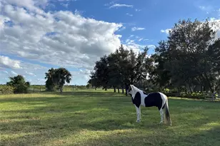 4939 Myakka Valley Trail, Sarasota, FL 34241 - Photo 67