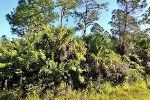 Culpepper Terrace, North Port, FL 34286 - Photo 1