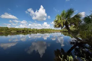 1401 Pelican Ln, North Port, FL 34286 - Photo 59