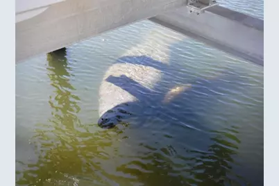 10313 Waterbird Way #4, Bradenton, FL 34209 - Photo 33