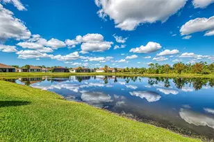 560 Mistiflower Cir, Nokomis, FL 34275 - Photo 47