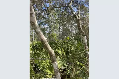 32 Fyfe Avenue, Debary, FL 32713 - Photo 3