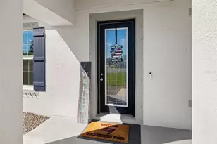 1811 151st Terrace E, Parrish, FL 34219 - Photo 61