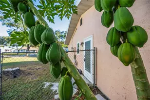 4413 McKibben Dr, North Port, FL 34287 - Photo 39